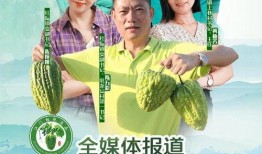 围观吃瓜反转求婚小说免费阅读,一场意外的爱情盛宴