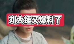 刘大锤爆料白鹿视频,揭秘娱乐圈幕后真相