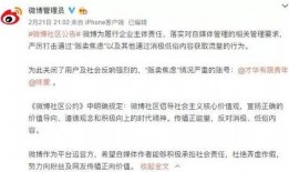 传情最新爆料新闻内容,最新爆料新闻背后的惊人真相