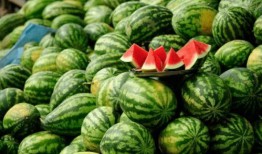 网红徒弟吃瓜图片